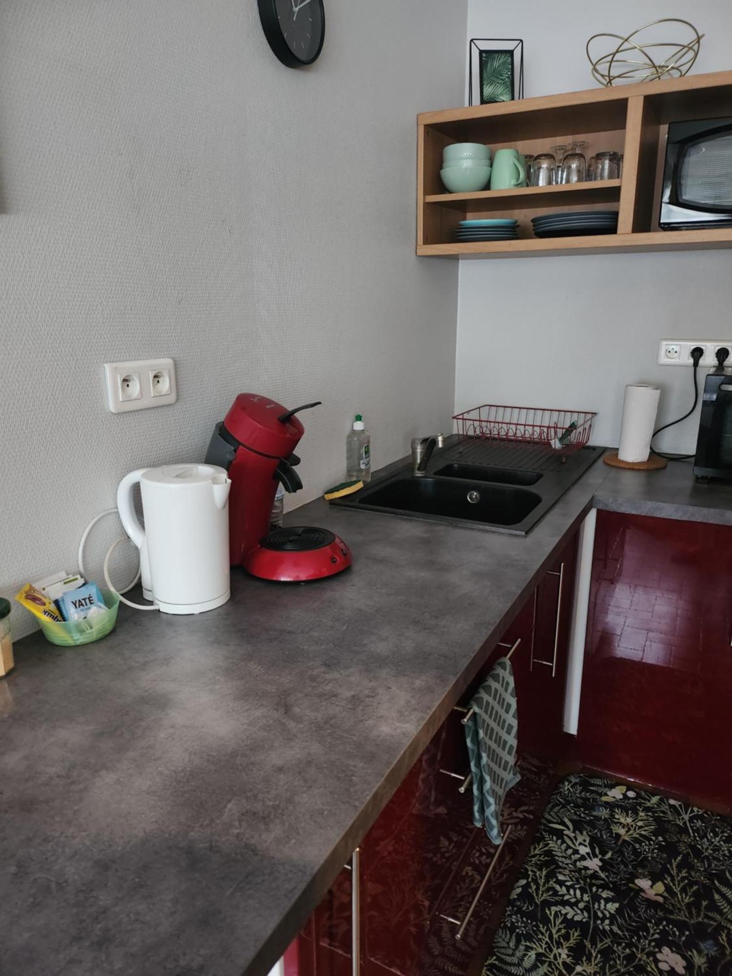 Dolphin's House Apartment