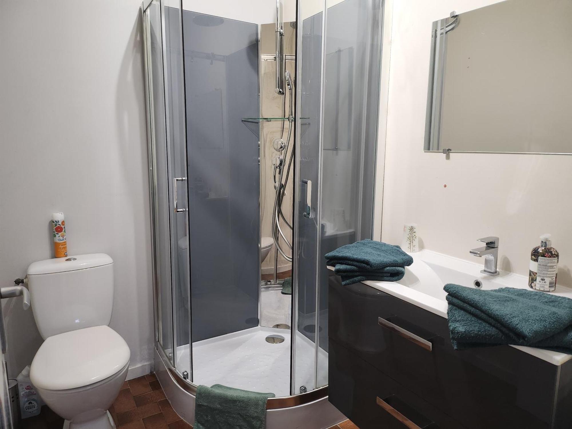 Dolphin's House Apartment Avignon